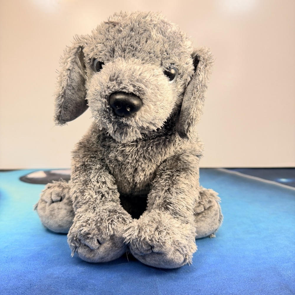 Ty Classic Puddles Gray Dog Plush 10" Soft Shaggy Puppy Blue Collar Stuffed 2013